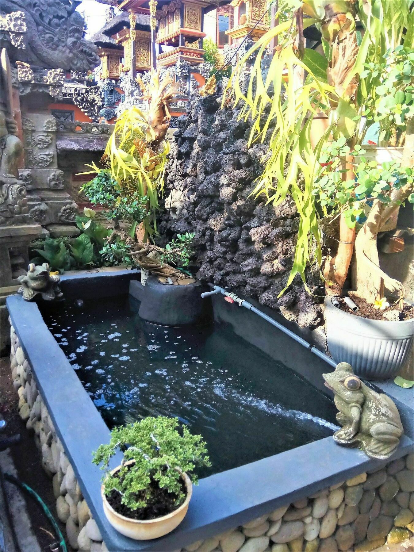 Arjuna Homestay Ubud מראה חיצוני תמונה